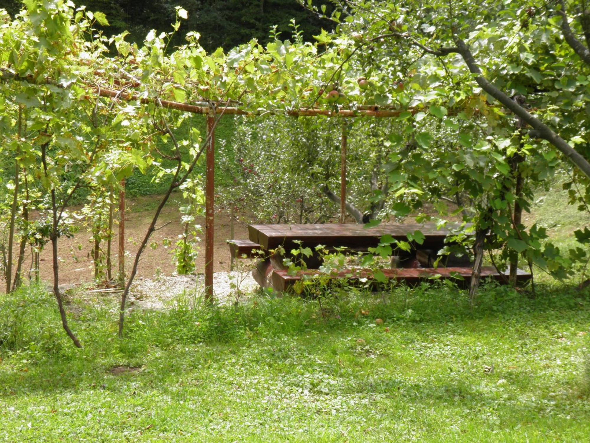 House Janja Plitvice Ξενοδοχείο Seliste Dreznicko Εξωτερικό φωτογραφία